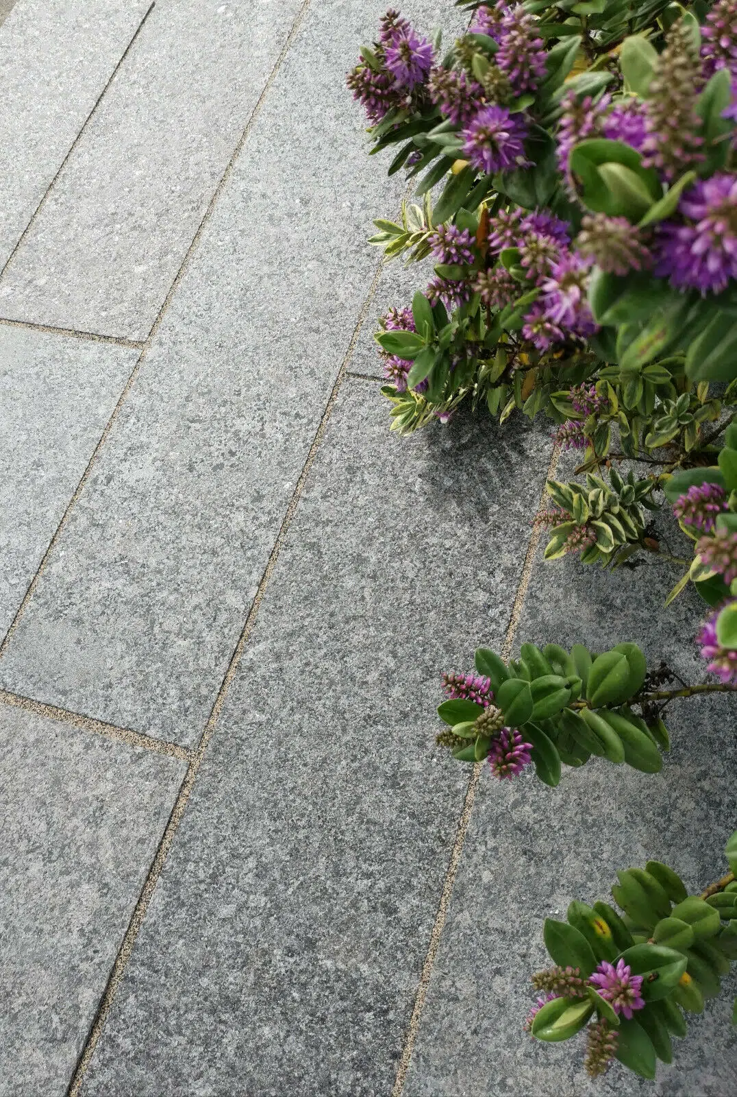 Misty Black Pearl Granite Paving