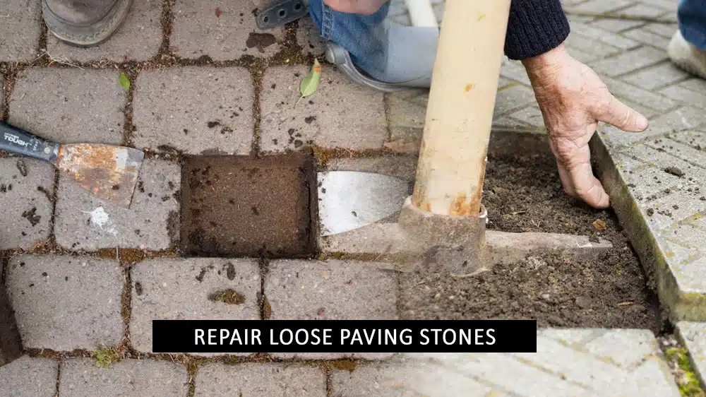 Paving stones