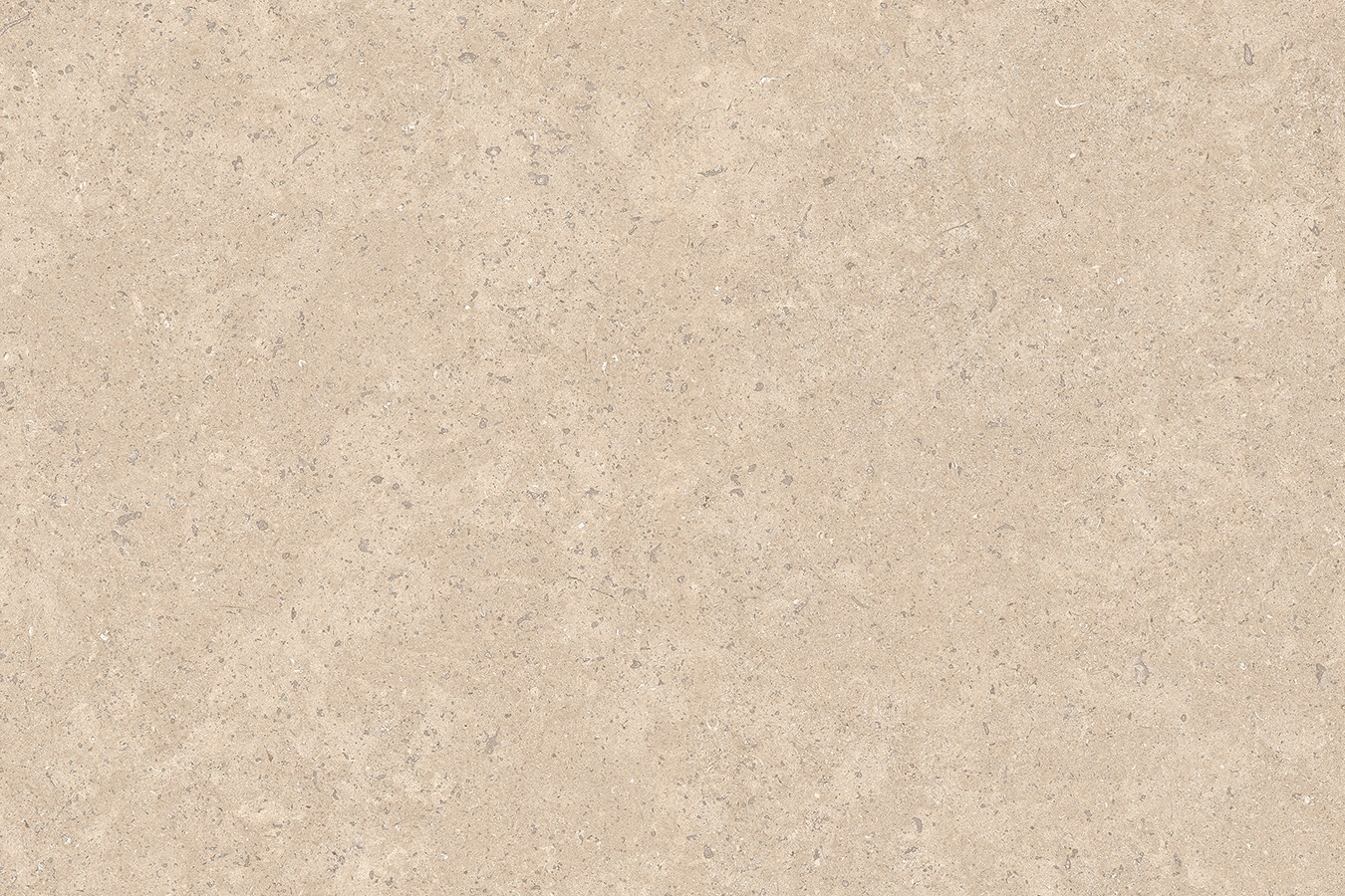 Lake Sinai Pearl Vitrified Porcelain - Image 4