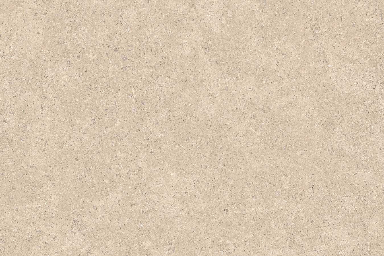 Lake Sinai Pearl Vitrified Porcelain - Image 5