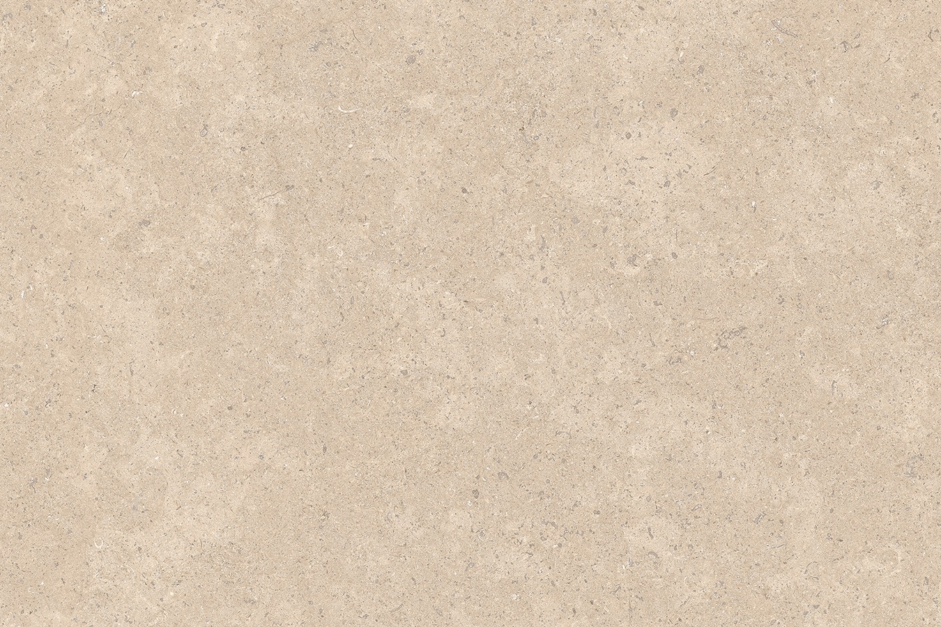 Lake Sinai Pearl Vitrified Porcelain - Image 6